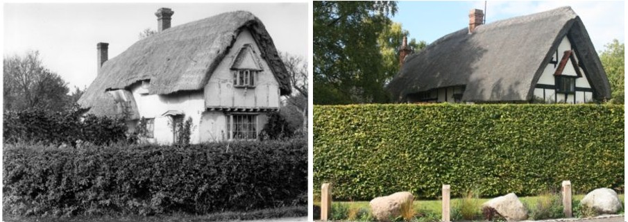 Blissets then and now