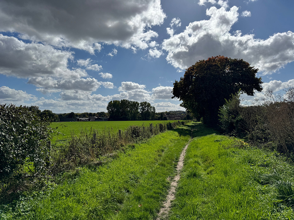 Footpath_Countryside-1