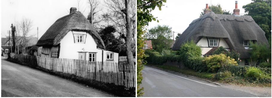 Green Thatch then and now
