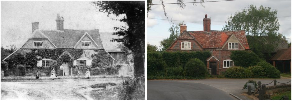 Ivy Farm Then and Now