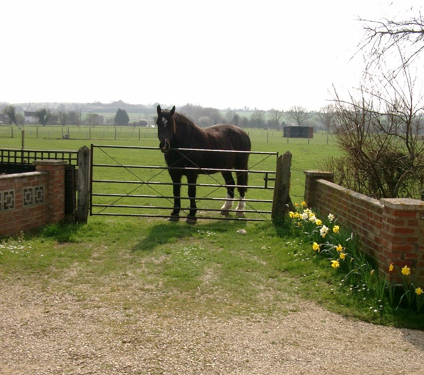 View towards Hagbourne Hill