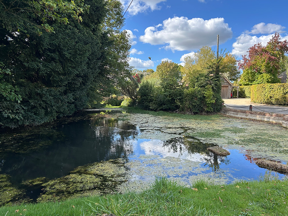 Village-Pond