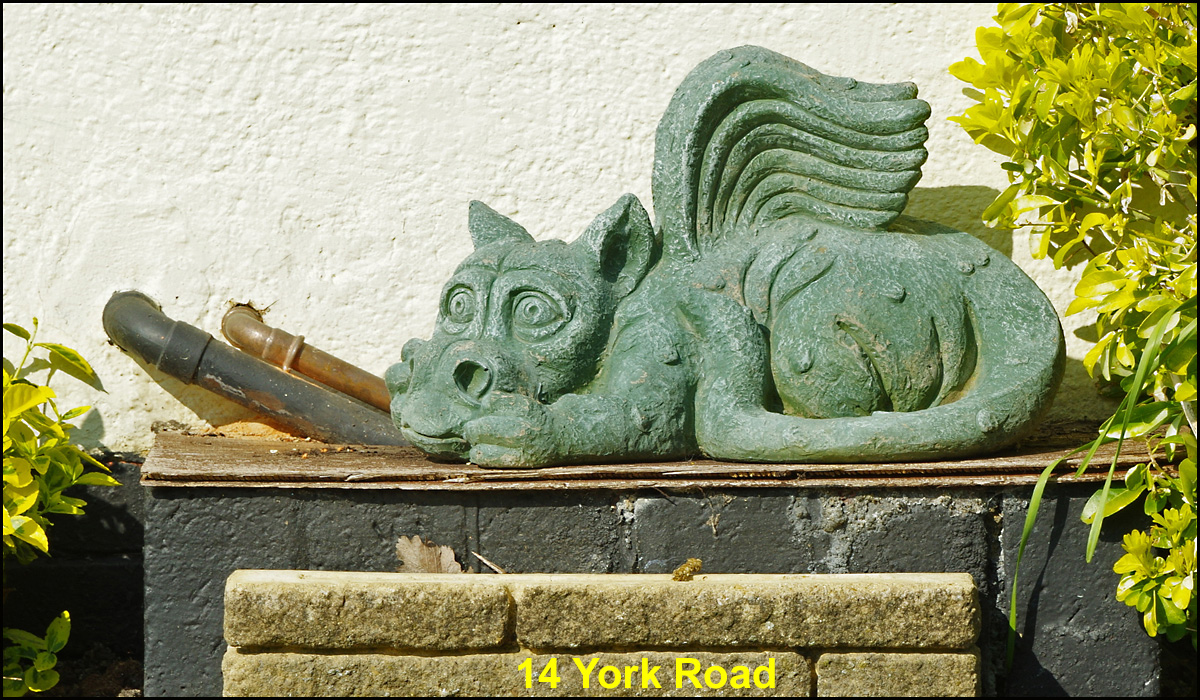 WH_Dragons_2020_14-York-Road