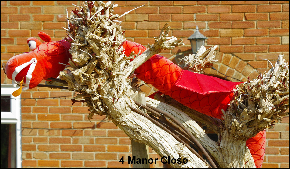 WH_Dragons_2020_4-Manor-Close