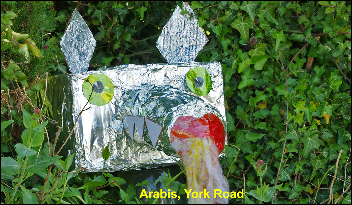 WH_Dragons_2020_Arabis,-York-Road