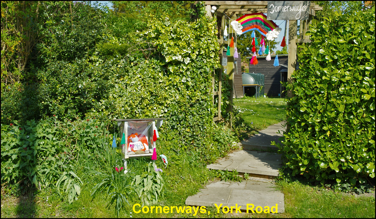 WH_Dragons_2020_Cornerways,-York-Road