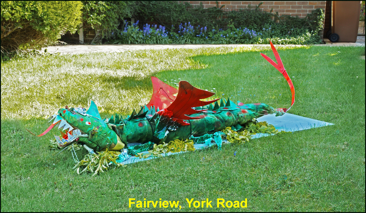 WH_Dragons_2020_Fairview,-York-Road