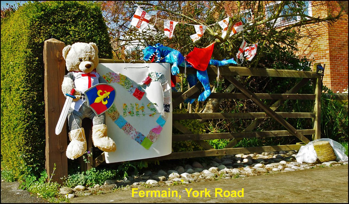 WH_Dragons_2020_Fermain,-York-Road