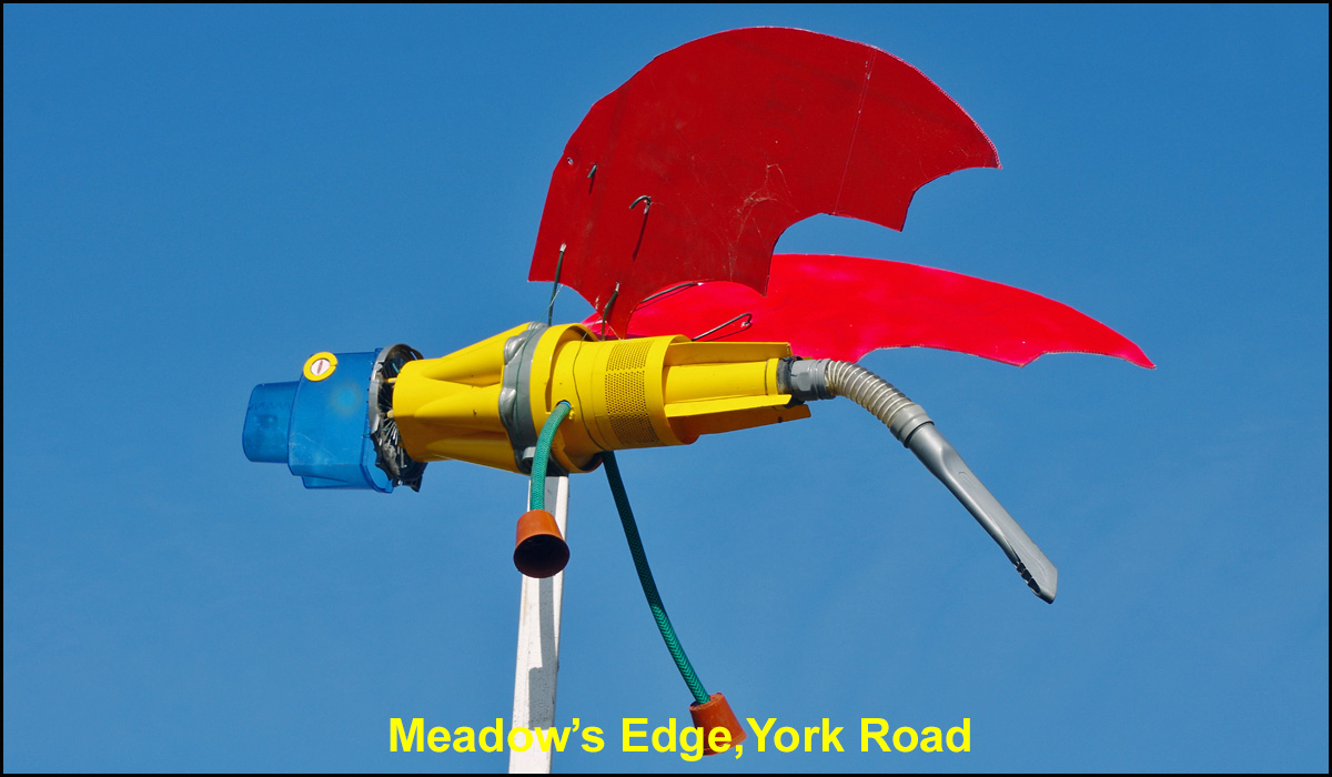 WH_Dragons_2020_Meadow's-Edge,-York-Road