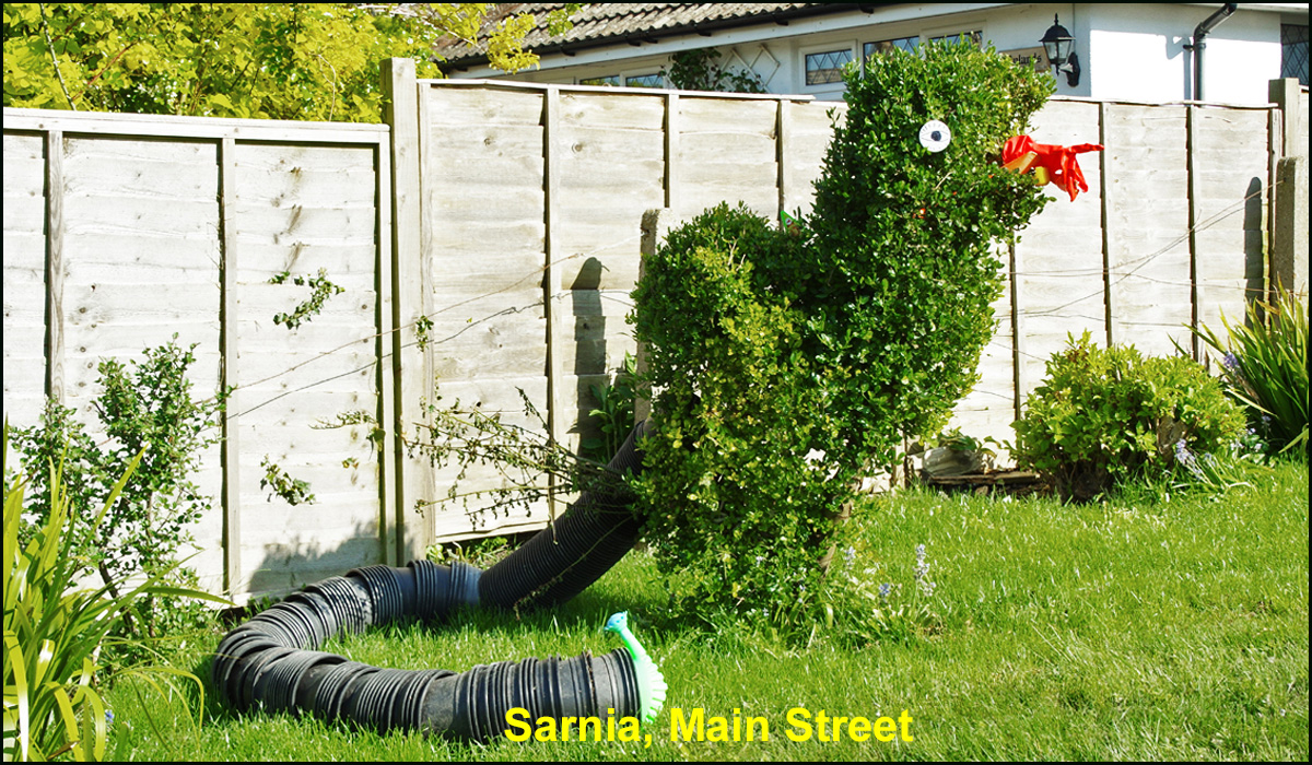 WH_Dragons_2020_Sarnia,-Main-Street