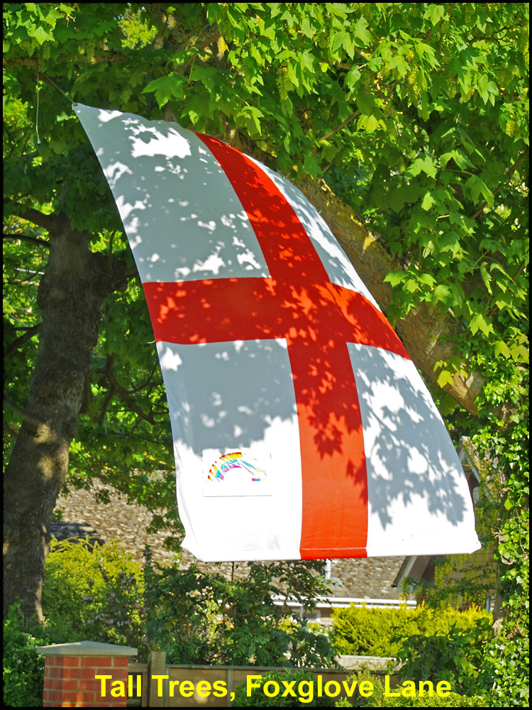 WH_Dragons_2020_Tall-Trees,-Foxglove-Lane