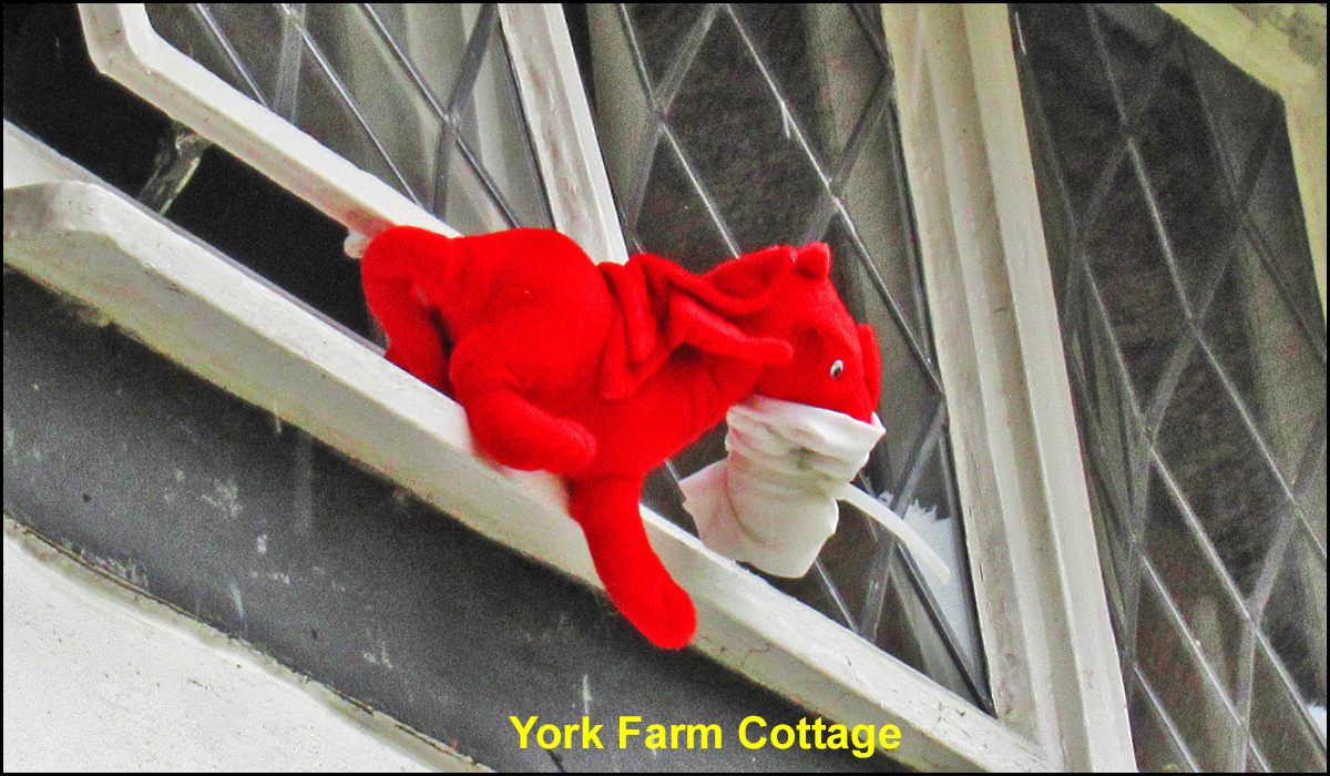 WH_Dragons_2020_York-Farm-Cottage