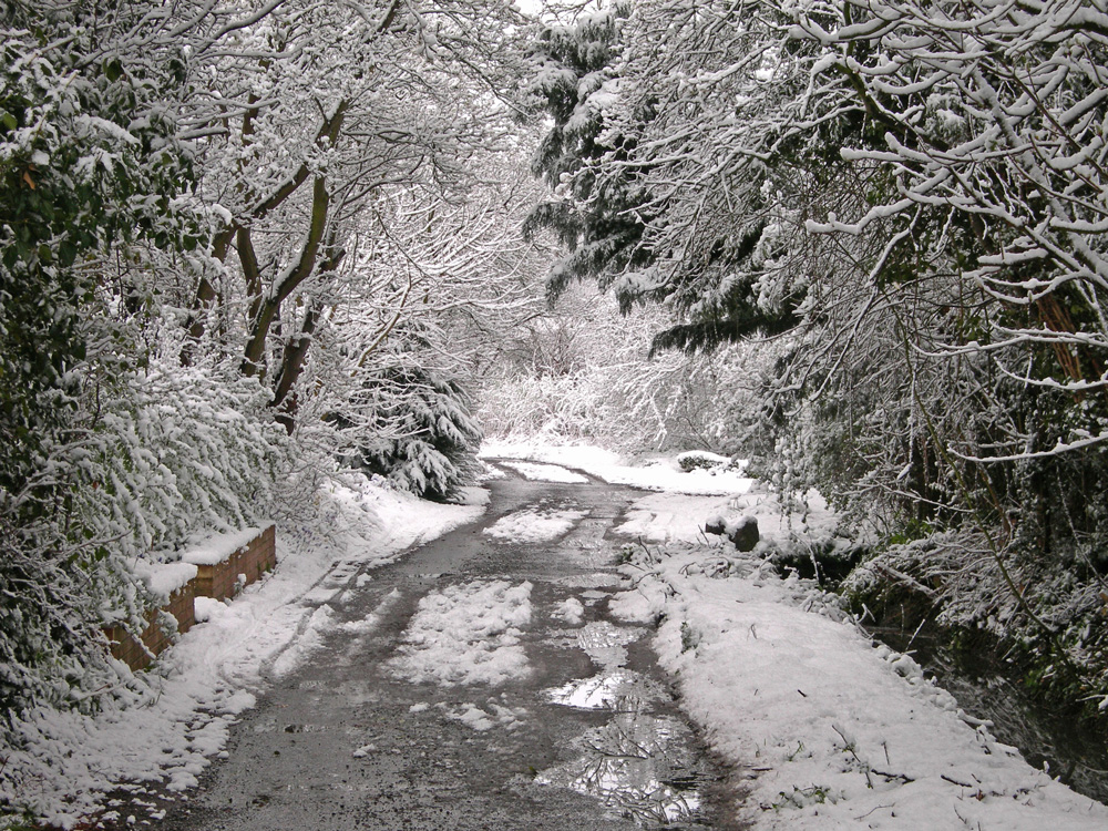 Moor-Lane-Winter_01