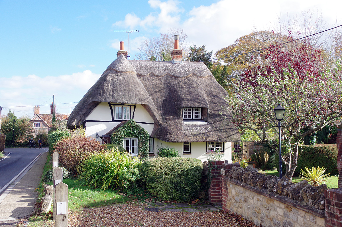 Green_Thatch_02